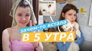 ВСТАЮ В 5 УТРА