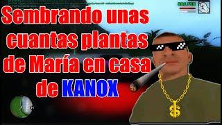 FenixZone s5 Cómo comprar y sembrar plantas de maría haciendo BUG del balde Casa de Kanox v