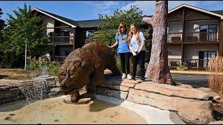 Grand Bear Resort at Starved Rock - Day 2