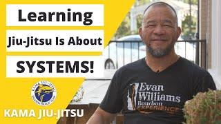 Learning BJJ Is All About Systems