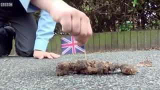 FLAG THE POOP - JOIN THE CAMPAIGN