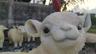 eyes for the cement sheep