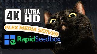 Optimize 4K Streaming with RapidSeedbox and Plex Media Server