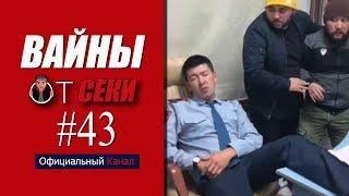 Свежая подборка вайнов SekaVines  Выпуск №43