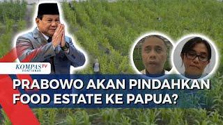 Prabowo Berencana Pindahkan Program Food Estate dari Kalimantan ke Papua Apa Alasannya?