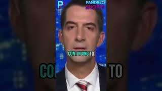 Tom Cotton Exposes Woke Journalist Kaitlin Collins Hypocrisy #shorts