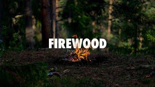 FREE Acoustic Guitar Country Type Beat - Firewood - Morgan Wallen Type Beat 2023 no drums