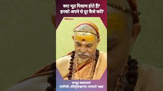 क्या भूत पिशाच होते हैं? इनको अपने से दूर कैसे करें? #प्रश्नप्रबोध  #ज्योतिर्मठशंकराचार्य