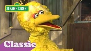 Good Morning Mister Sun with Big Bird  Sesame Street Classic