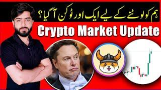 Crypto Market Latest Update  Elon Musk Floki Fake Pump  Floki Trap  Doge  Shiba  TPS
