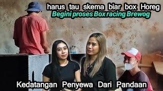 HARUS TAHU SKEMA DAN BENTUK BOX RACING BREWOGKEDATANGAN PENYEWA DARI PANDAAN