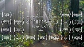 Shinrin-Yoku forest bathing trailer