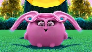 Sunny Bunnies Special Intro Effects but ALL SHINY RINDO LAUGH EFFECTS EVOLUTION  Must Watch  2022