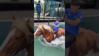 Boy riding horse in water Instagram Viral reel