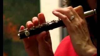 Woodwind P5 Grenadilla Wood Piccolo -Sample of high register