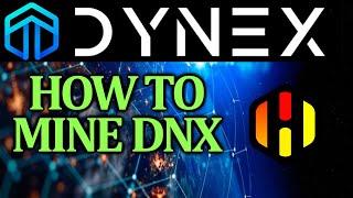 How to Mine Dynex  DNX in HiveOS