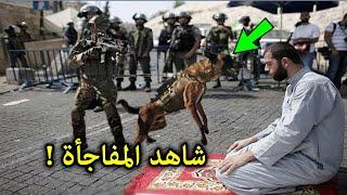 شاهد ضابط اسرئيلي ارسل كلب مفترس ليهجم على رجل فلسطيني وهو يصلي.. لن تصدق ماذا فعل؟ مفاجأة مذهلة 
