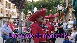 Una tarde de mariachis 