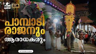 പാമ്പാടി രാജനും ആരാധകരും I Pampadi Rajan Fans I Kerala Elephant Pampadi Rajan