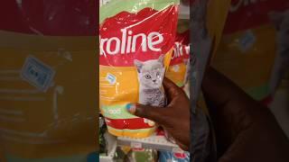 Whats you favorite Purr-fect for kitties let me know #food #vlog #catlover