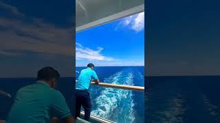 ocean view from the back of a cruise ship. #shorts #cruiseship #sea #occean #view#life