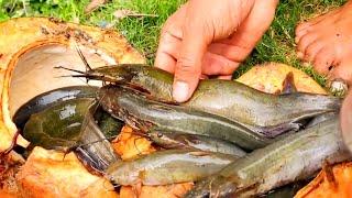 Catching Catfish with Green Coconut New Fishing Hack Goes Viral
