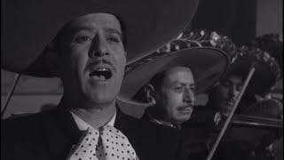 Pedro Infante - Mi Tenampa