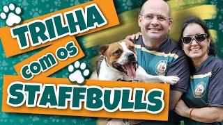 TRILHA COM OS STAFFBULLS Um programa imperdível com os cães e com as famílias