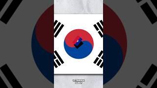 Ayo Temukan bendera Tersembunyi di Bendera Korea Selatan #shorts