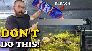 DONT Nuke Your AQUARIUM  This Is a HUGE MISTAKE When Dealing With Pest Algae