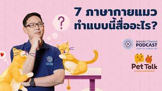 PODCAST Pet Talk  EP.9 - 7 ภาษากายแมวทำแบบนี้สื่ออะไร?