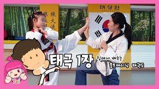 태권도집에서 따라하는 태권도 품새 배우기 태극1장 홈트레이닝 태권도 TAEKWONDO 거울모드 .TEI