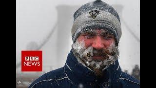 Bomb cyclone brings travel chaos and deaths to US north-east - BBC News