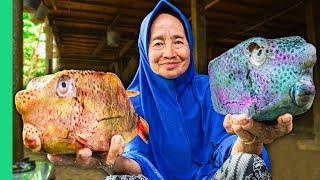 Indonesia’s Rarest Tribal Foods from West to East Full Documentary