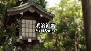 Explore Meiji Jingu Shrine Tokyo  Japan Travel Guide