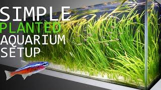 How to Setup a 55 Gallon Planted Aquarium 6 Month Update