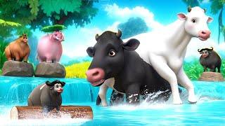 Epic Cyclone Rescue Black Cow Saves White Cow & Animals  Animal Adventures 2024