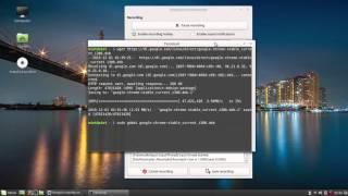 How to Install Google Chrome 32 bits on Linux Mint 17.2