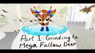 Part 1 Of Getting Mega Fallow Deer