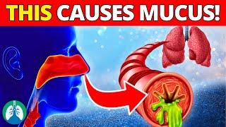 Top 10 Diseases That Cause Mucus  MUST Avoid for Respiratory Health