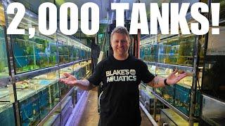 Over 2000 Tanks at this Australian Aquarium Wholesaler