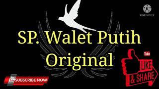 Sp. Walet Putih Original Suara Panggil burung walet #ALL_WALET