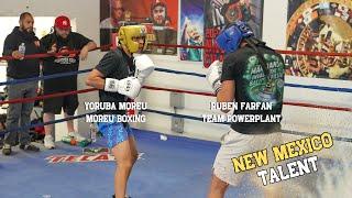 DUKE CITY New Mexico Boxers Get In The Ring For Open Sparring