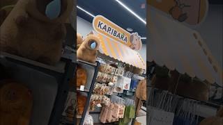 ШОК НАШЛА РАЙ КАПИБАР В МАГАЗИНЕ KARI