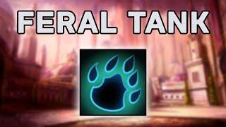 Guide to Feral Druid for Tanking in 105 Seconds