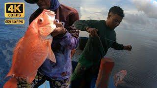 TAK DI SANGKA MANCING IKAN DI SPOT BARUternyata sarangnya ikan besar besar