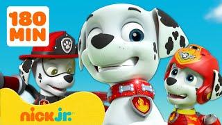 Patrulha Canina  3 Horas dos Melhores Momentos de Marshall  Nick Jr. em Português