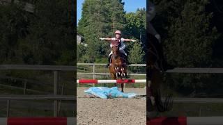 NO HANDS JUMPING Ella and Tarzan Jumping over a dolphin #shorts #equestrian #horse