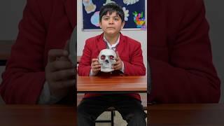 School mein Bhoot ‍️ Part-1 ‍️ #school #funny #horrorstories