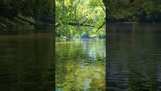 Kayaking on the Potomac River near Leesburg VA